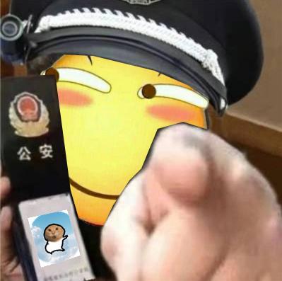 meme police1